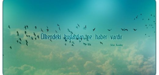 Ülkendeki Kuşlardan Ne Haber Vardır