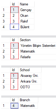 Entity Framework Core 7 - Table Per Concrete Type (TPC) Davranışı