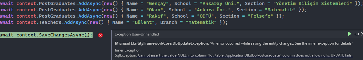 Entity Framework Core 7 - Table Per Concrete Type (TPC) Davranışı