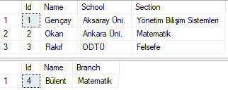 Entity Framework Core 7 - Table Per Concrete Type (TPC) Davranışı