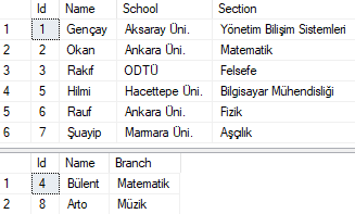 Entity Framework Core 7 - Table Per Concrete Type (TPC) Davranışı